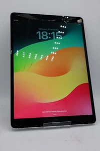 Apple iPad Pro 2017 256GB Wi-Fi 4G 10,5 Zoll Grau A1709 Displayschaden #5011 - Bild 1 von 8