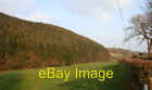 Photo 6X4 Conifer Plantation Near Cefn Canol Cefn Canol/Sj2331 Conifer P C2007