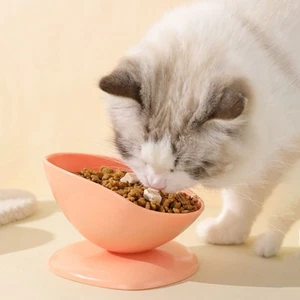 Non-slip Tilted Cat Bowl Large Capacity Pet Food Water Bowl Indoor - Picture 1 of 8