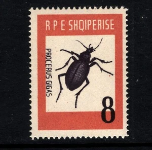 OPC 1963 Albania Beetle Procerus Gigas Sc#662 MNH 46155 - Picture 1 of 1