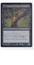 MTG 2X JAPANESE FOIL SHADOWMOOR TORTURE NM MAGIC THE GATHERING BLACK COMMON