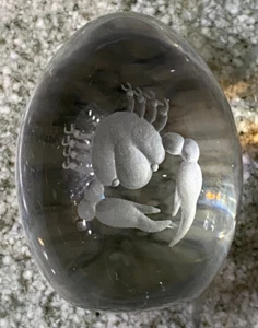 "Pisapapeles de vidrio ovalado en forma de huevo cangrejo grabado zodiaco cáncer 3,5" - Imagen 1 de 3