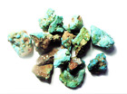 100cts NICE SMALL STABILIZED TURQUOISE NUGGETS SOUTHWEST USA # 9