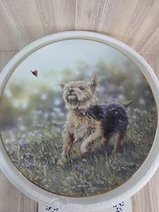 Danbury Mint THE THRILL OF THE CHASE Plate Yorkshire Terriers Paul Doyle Terrier - Picture 1 of 5