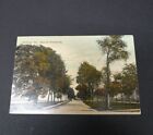 Carte postale vintage : Portland Maine Eastern Promenade Trees Street 1913