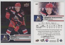 2017-18 Upper Deck AHL SPs Silver Foil Evgeny Svechnikov #137 Rookie RC