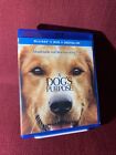 A DOG'S BUT Blu-Ray + DVD sans numérique 2017 PROPRE