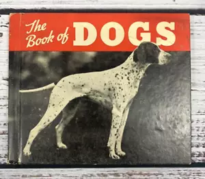1936 The Book of Dogs James Gilchrist Lawson Vintage Rand McNally 104 AKC Rassen - Bild 1 von 8