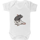 'Rat' Baby Grows / Bodysuits (GR031066)