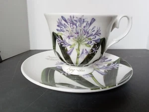 Creative Tops Fine Bone China "Agapanthus" Northamptonshire England Cup & Saucer - Picture 1 of 14