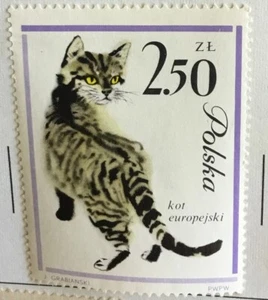 Sello postal gato Polonia - Imagen 1 de 1