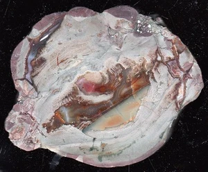 Achat/Agate von Lierbachtal im Schwarzwald mit schöner Farbe - interessant !!! - Bild 1 von 1