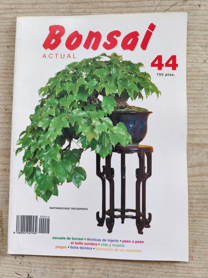 Revista Bonsai Actual - Numero 44 - Imagen 1 de 4