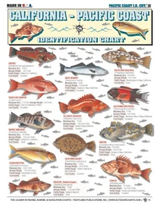 Identificación de peces de California a la costa del Pacífico #15 - Referencia rápida impermeable - Imagen 1 de 2