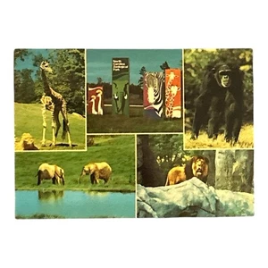 North Carolina Zoological Park Ashe pro N. C Vintage Postcard Unposted - Picture 1 of 2