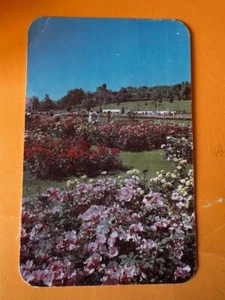 Postcard: Jackson Perkins Rose Garden , Newark, New York, posted 1952 - Picture 1 of 2