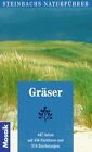 Steinbachs Naturführer Gräser von Jürke Grau | Buch | Zustand gut