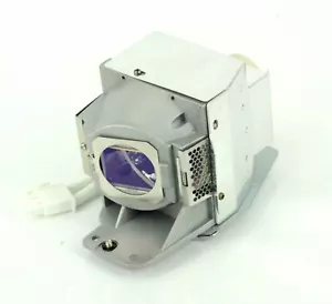 Bombilla de proyector DLP con carcasa para VIEWSONIC RLC-079 VS14937 VS16000 - Imagen 1 de 3