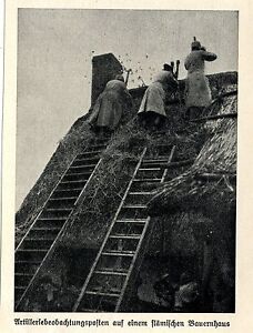 1914 Belgien * Artilleriebeobachtungsposten auf einem flämischen Bauernha *  WW1