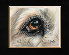 Matted "Golden Retriever Eye" 8" x 10" Mat Giclee Dog Print  by Roby Baer PSA 