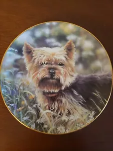 Danbury Mint YORKSHIRE TERRIERS LITTLE CHARMER Limited Edition Plate - Picture 1 of 4