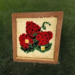 Alfombra peluda vintage fresas hippie gancho de cierre arte marco de madera dura 18"x18" retro - Imagen 1 de 5