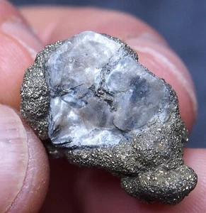 Brachiopod in Pyrite Fossil France lot Golden 8 - Picture 1 of 8