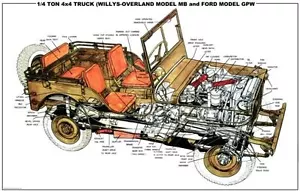 ENORME póster a color LQQK del EE. UU. JEEP Ford & Willys 4x4 cueva Segunda Guerra Mundial hecho en EE. UU. - Imagen 1 de 1