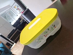 TUPPERWARE FRISCHHALTEDOSE KlimaOase 0,8L Limette - Bild 1 von 2