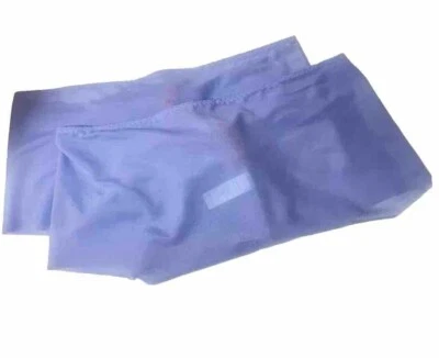 Трусики Spanx Shapewear Skinny Britches фиолетовые разглаживающие 2 слоя L и XL - Изображение 1 из 4