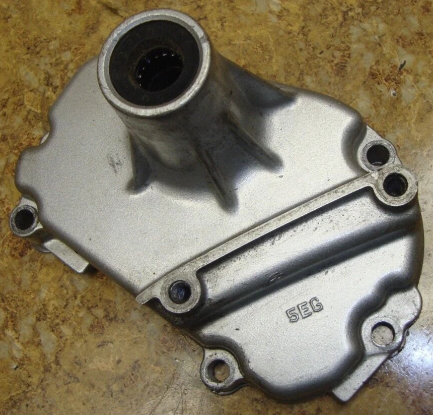 2001 Yamaha FZS1 FZ1 FZ 1 FZS1000 Fazer Engine Shift Shaft Cover Panel Shifter - Image 1 of 1