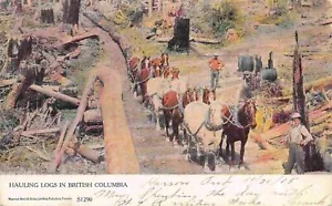 Postal de transporte de troncos de registro en Columbia Británica Canadá 1905 - Imagen 1 de 2