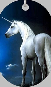 Einhorn im Wolkenhimmel Magischer Traum Fantasy Erkennungsmarke Halskette 30" Kette NEU - Bild 1 von 2