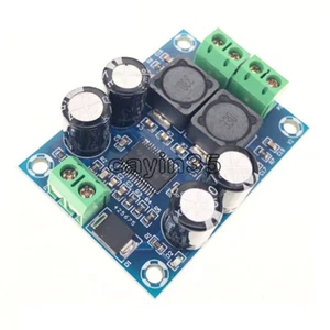 Mini TPA3118 Digital Audio Verstärker Platine 60W Mono Class D Audio Board NEU - Bild 1 von 5