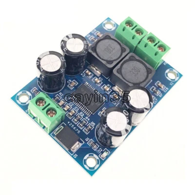 Mini TPA3118 Digital Audio Verstärker Platine 60W Mono Class D Audio Board NEU - Bild 1 von 4