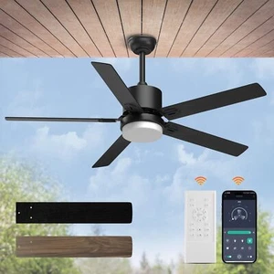 Sky sea Ceiling Fan with Light: Low Profile Black Ceiling Fan with Light and - Picture 1 of 9