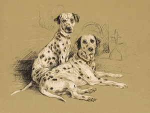 DALMATIAN CHARMING DOG GREETINGS NOTE CARD TWO LOVELY DOGS - Foto 1 di 1