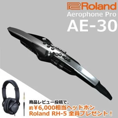 ROLAND Aerophone Pro AE-30 Digital Wind Instrument bundle Soft Case Japan NEW - Image 1 of 4