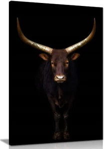Ankole Watusi Rinder mit goldenen Hörnern gerahmt Leinwanddruck Wandkunst Wohnkultur - Bild 1 von 6