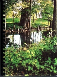 Bayou Cuisine : Its Tradition And Transition - Flatlanders Delta Cookery Recipes - Picture 1 of 2