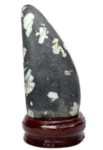 7.3" Chrysanthemum Stone on Wood Base Crystal Flower Specimen Mineral from China - Picture 1 of 4