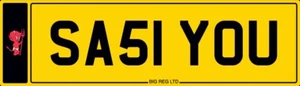 ๐ฅฐ SASSY YOU ๐ SEXY ANN EVE AMY JEN PRIVATE REGISTRATION NUMBER PLATE SA51 YOU - Picture 1 of 2