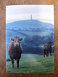 7 tarjetas de felicitación en blanco de Ulverston Hoad Monument Nr Dalton y Barrow en muebles - Imagen 1 de 9