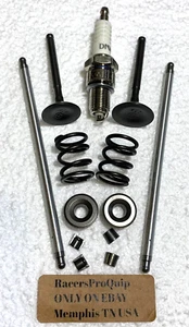 Predator Hemi 212cc RACE Stainless Valve Upgrade Split Lock w/Pushrods & Springs - Picture 1 of 5