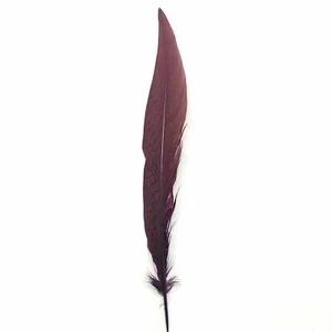 10" To 20" Silver Pheasant Tail Feather - Chocolate Brown ((SECONDS)) - Foto 1 di 3