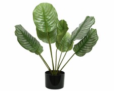 CALATHEA VERDE ARTIFICIALE IN VASO 53X63CM ACCESSORI DECORO INTERNO ESTERNO