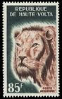 UPPER VOLTA C26 - African Lion "Panthera leo" (pb65966)