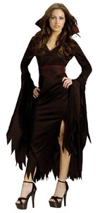 Gothic Vampire Adult Womens Costume Black Full Length Fancy Dress Funworld - Picture 1 of 1