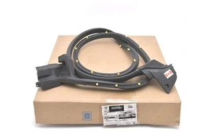 NOS GM 1982-1992 FIREBIRD TRANS AM FRONT SIDE DOOR WEATHERSTRIP 20350901 - Picture 1 of 1