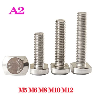 Hammerkopfschrauben M5 M6 M8 10 M12 T-Schraube Edelstahl T-Nut T-Mutter Schraube - Bild 1 von 14